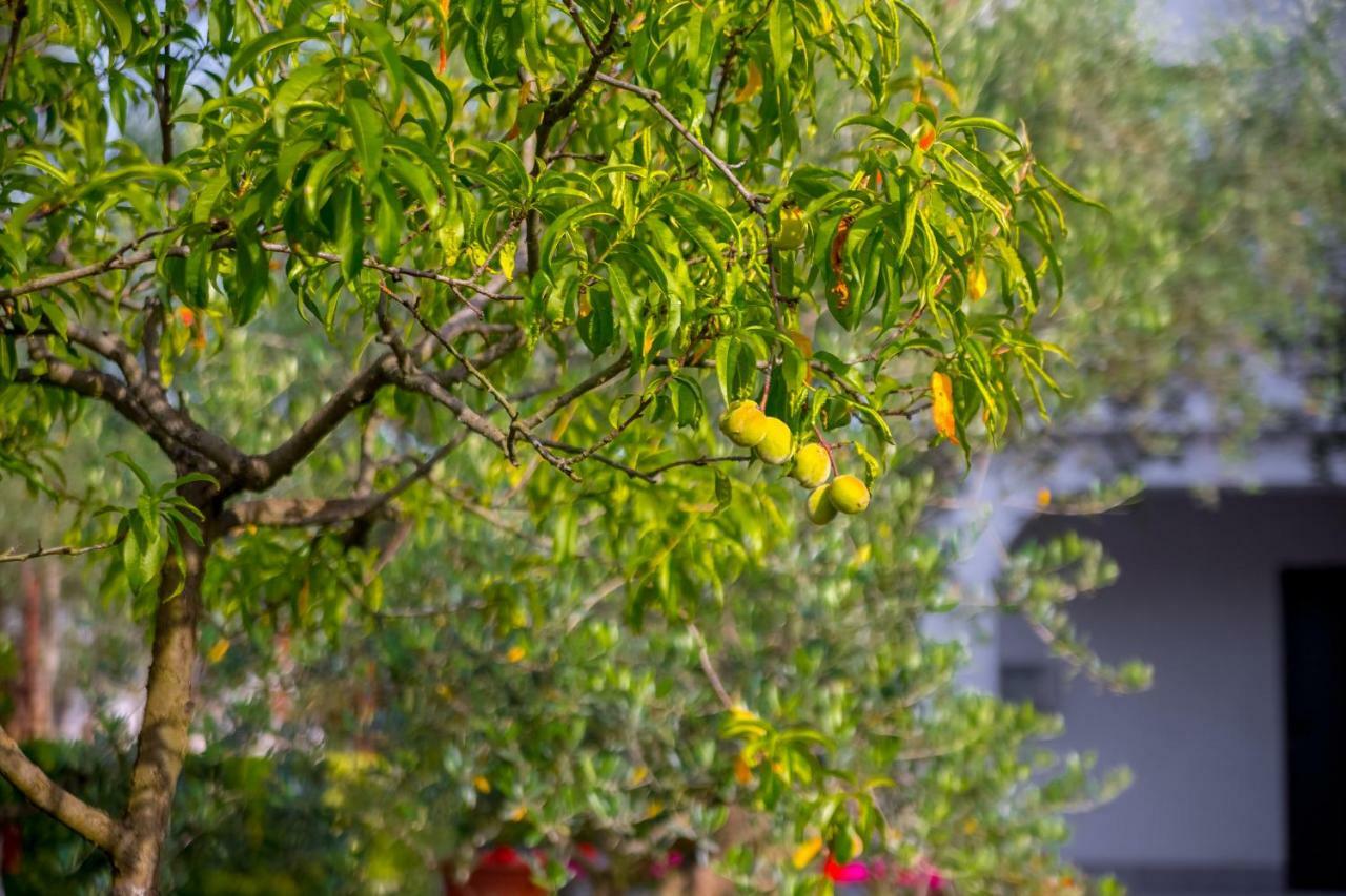 Sveti Vid-Miholjice Garden Paradise App מראה חיצוני תמונה